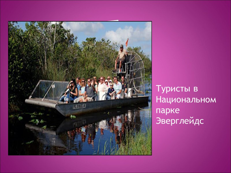 Туристы в Национальном парке Эверглейдс